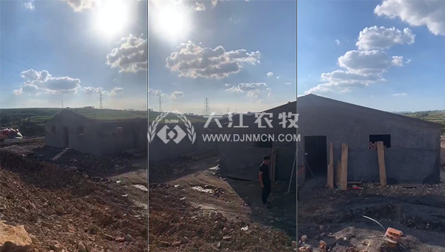 廠家工作人員在豬舍現(xiàn)場規(guī)劃設計方案